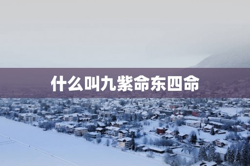 什么叫九紫命东四命