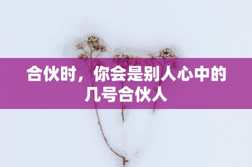 合伙时，你会是别人心中的几号合伙人