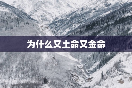 为什么又土命又金命