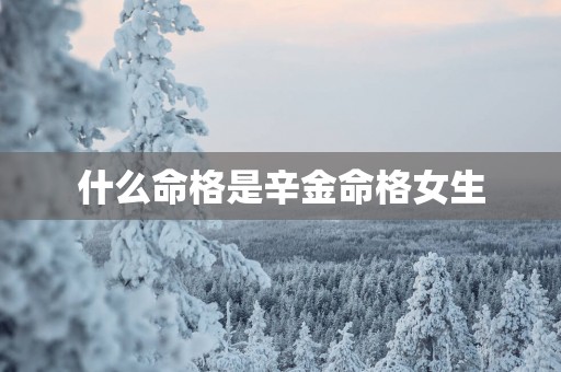 什么命格是辛金命格女生