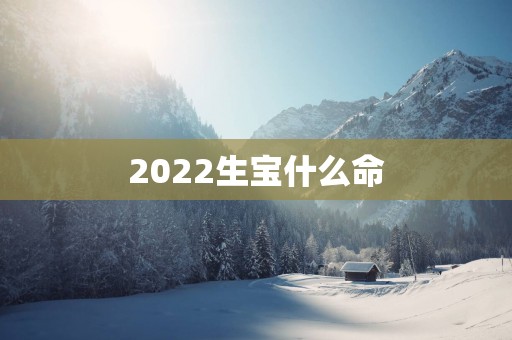2025生宝什么命