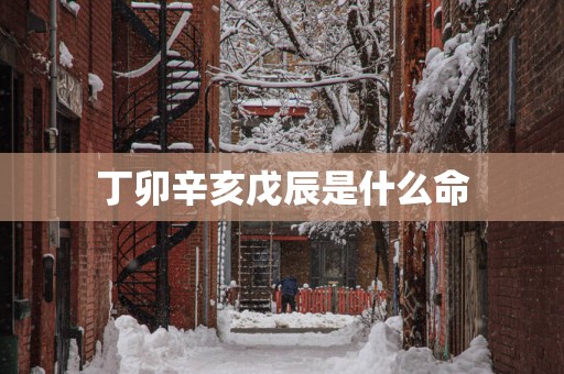 丁卯辛亥戊辰是什么命