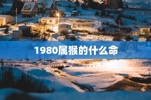 1980属猴的什么命