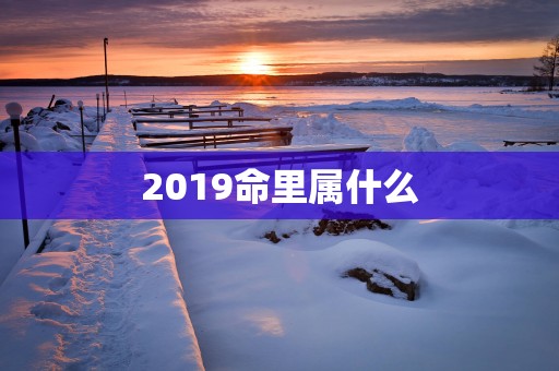 2019命里属什么