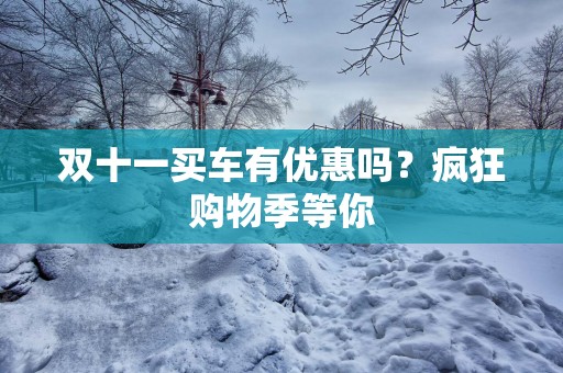 双十一买车有优惠吗？疯狂购物季等你