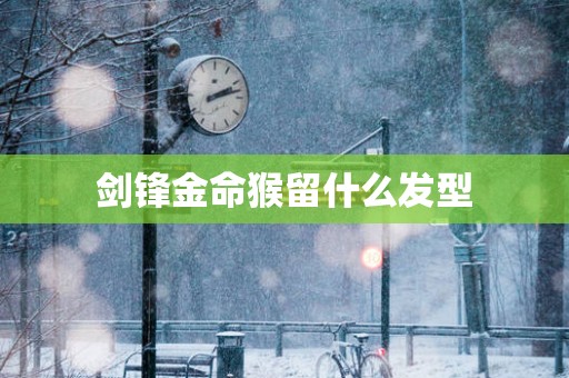 剑锋金命猴留什么发型