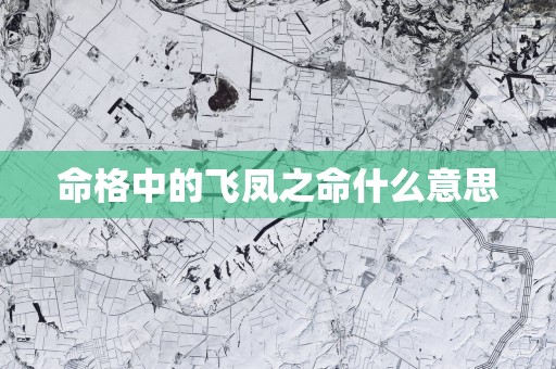 命格中的飞凤之命什么意思