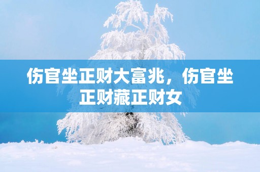 伤官坐正财大富兆，伤官坐正财藏正财女