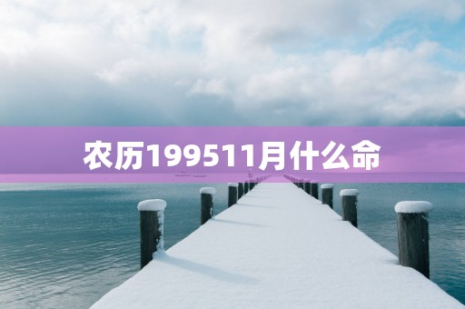 农历199511月什么命
