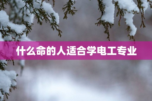 什么命的人适合学电工专业