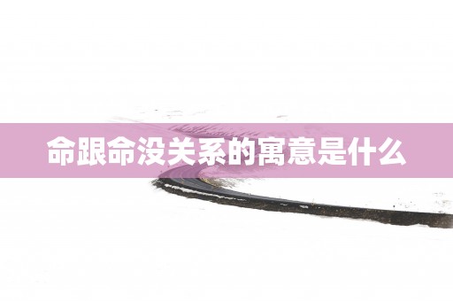 命跟命没关系的寓意是什么