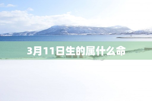 3月11日生的属什么命