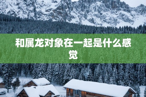 和属龙对象在一起是什么感觉