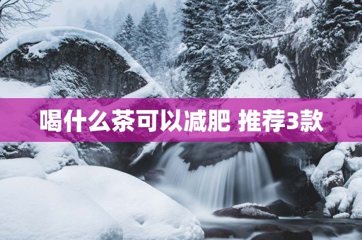 喝什么茶可以减肥 推荐3款