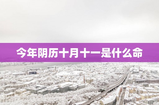 今年阴历十月十一是什么命