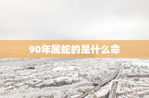 90年属蛇的是什么命