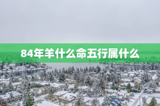 84年羊什么命五行属什么