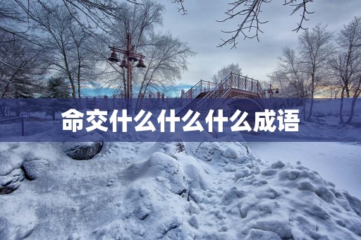 命交什么什么什么成语