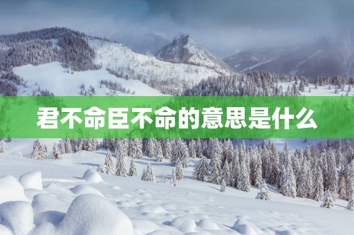 君不命臣不命的意思是什么