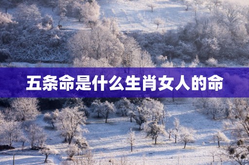 五条命是什么生肖女人的命
