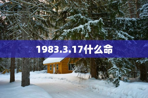 1983.3.17什么命