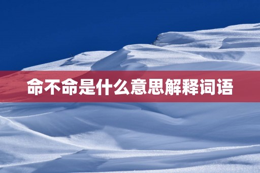 命不命是什么意思解释词语
