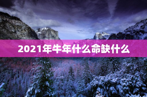 2025年蛇年什么命缺什么