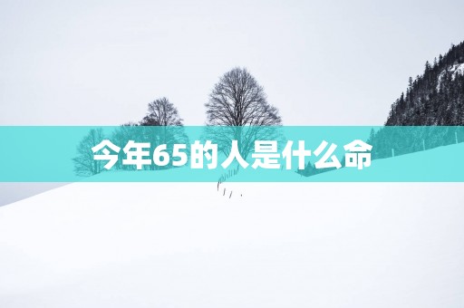 今年65的人是什么命 今年65的人是什么命