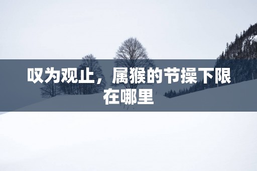 叹为观止，属猴的节操下限在哪里