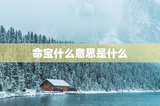 命宝什么意思是什么