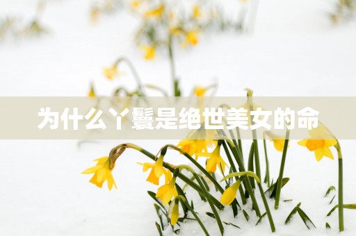 为什么丫鬟是绝世美女的命