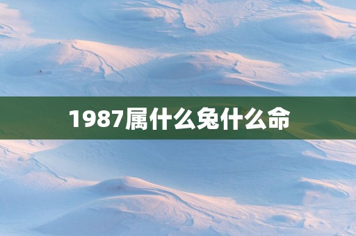 1987属什么兔什么命
