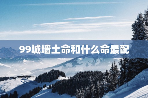 99城墙土命和什么命最配