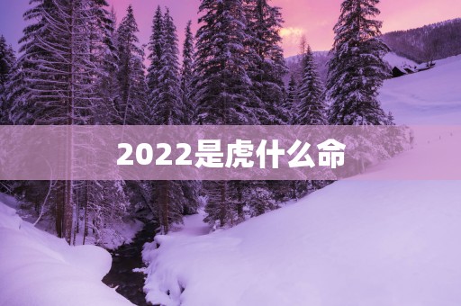 2025是虎什么命
