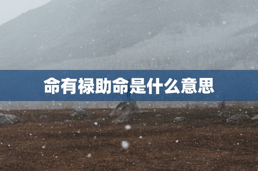 命有禄助命是什么意思