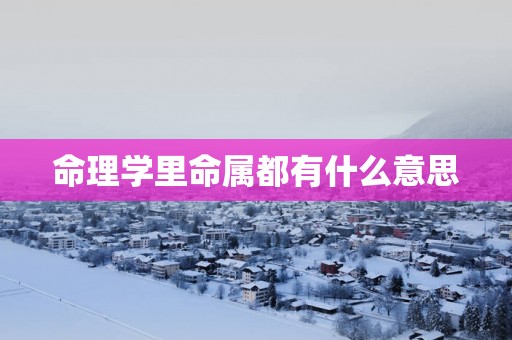 命理学里命属都有什么意思