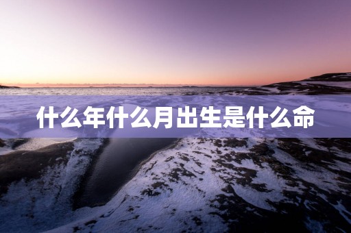 什么年什么月出生是什么命
