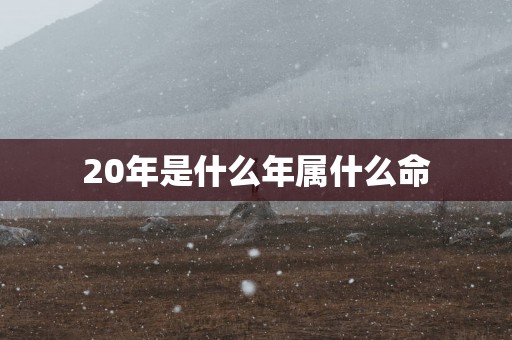 20年是什么年属什么命