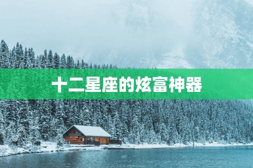 十二星座的炫富神器