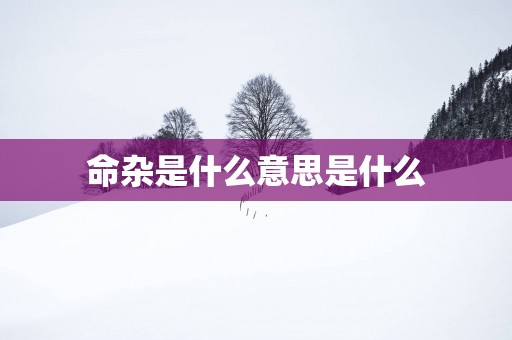 命杂是什么意思是什么