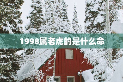 1998属老虎的是什么命