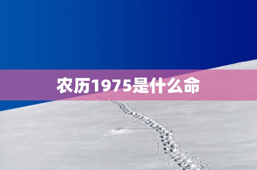 农历1975是什么命