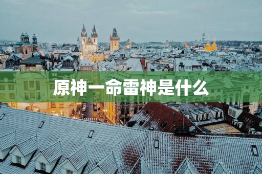 原神一命雷神是什么