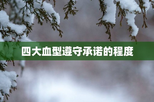 四大血型遵守承诺的程度