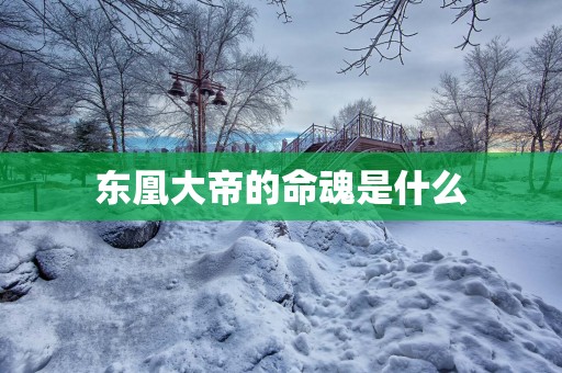 东凰大帝的命魂是什么
