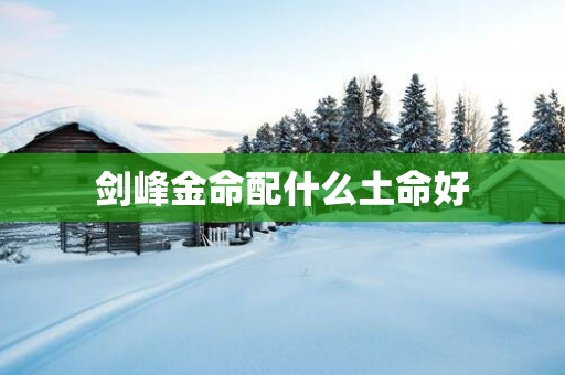 剑峰金命配什么土命好