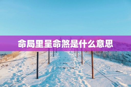 命局里呈命煞是什么意思