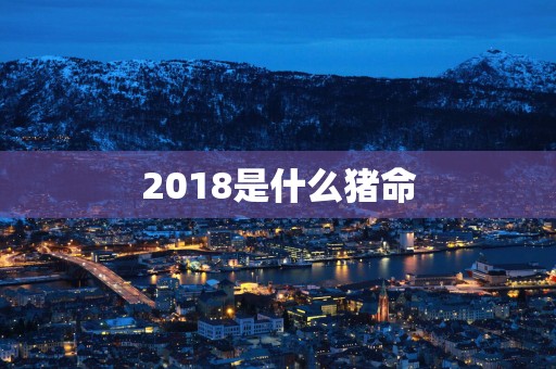 2018是什么猪命