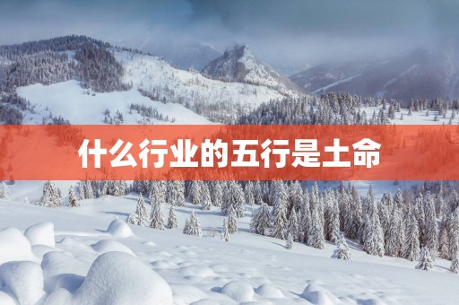 什么行业的五行是土命