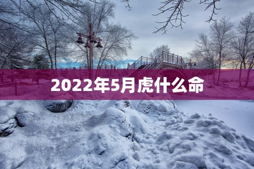 2026年5月虎什么命